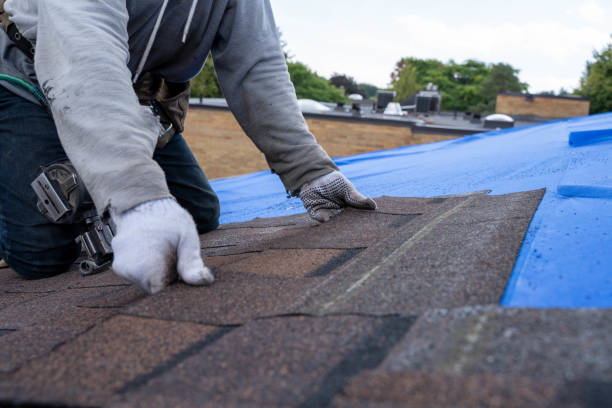 Roof Gutter Cleaning in Columbiana, OH